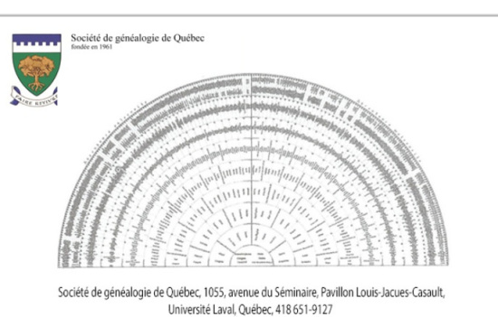 Le logiciel ANAGED et la roue de paon