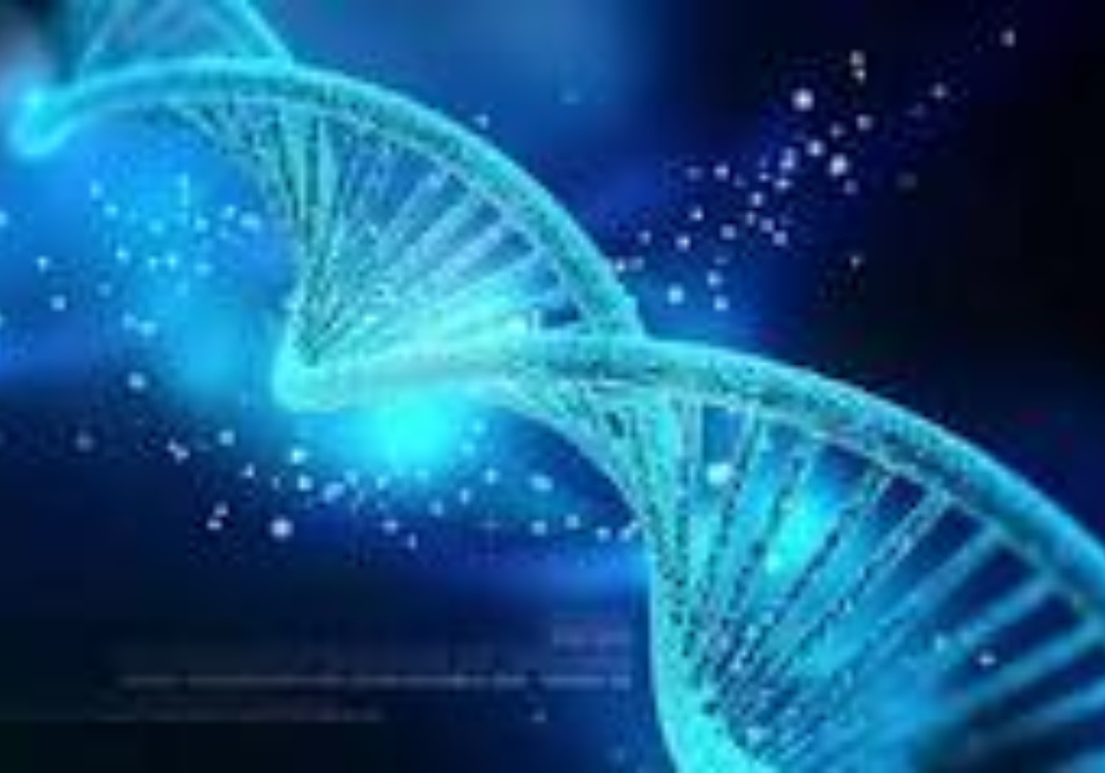 Formation en ligne S-2024<br> <b> Généalogie génétique (Concepts de base)