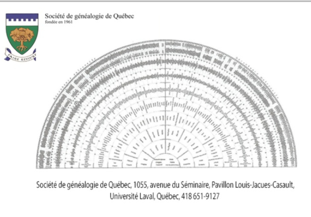 Formation en ligne F-2025<br> <b> Le logiciel Anaged et la roue de paon